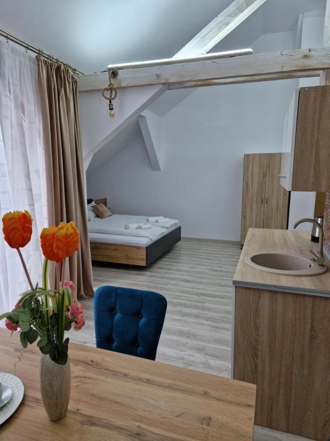 Ori Orange Studio Malul Muresului Arad Dış mekan fotoğraf